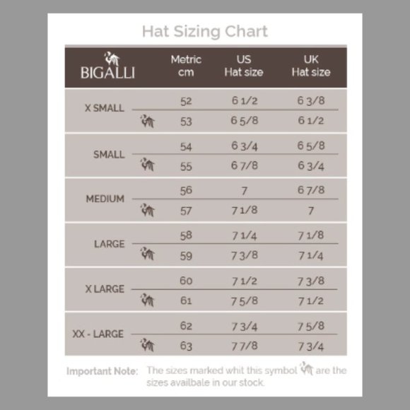 NWOT BIGALLI Blue/Grey Plaid Flat Cap, Boston 4001, Newsboy Style Size Small - Picture 6 of 6